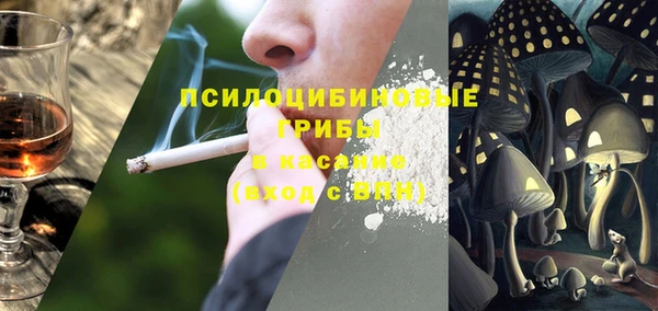 PSILOCYBIN Вяземский